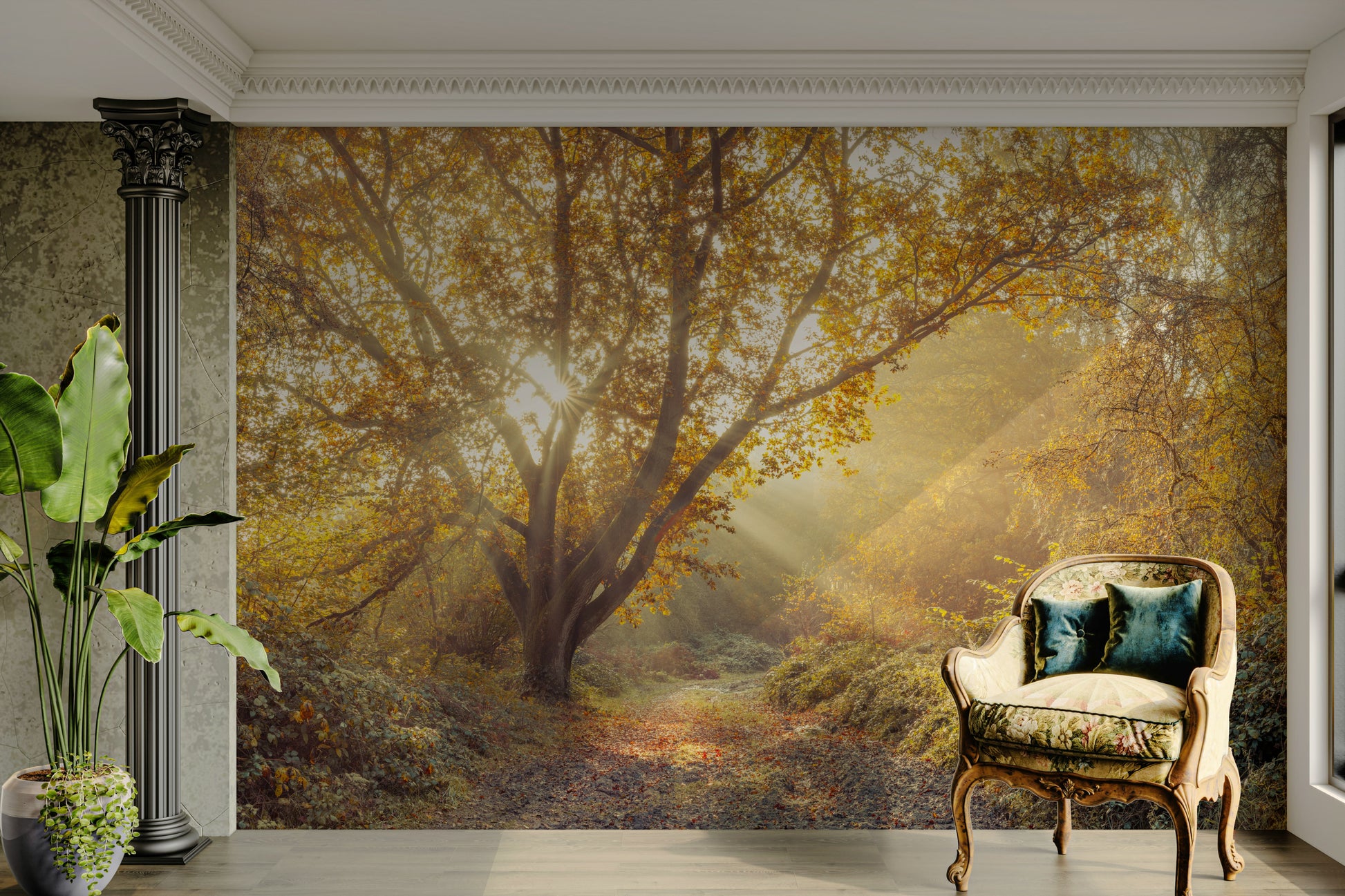 Highlights of sunlight or dew.

