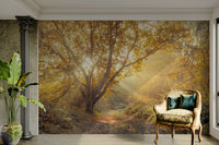 Highlights of sunlight or dew.

