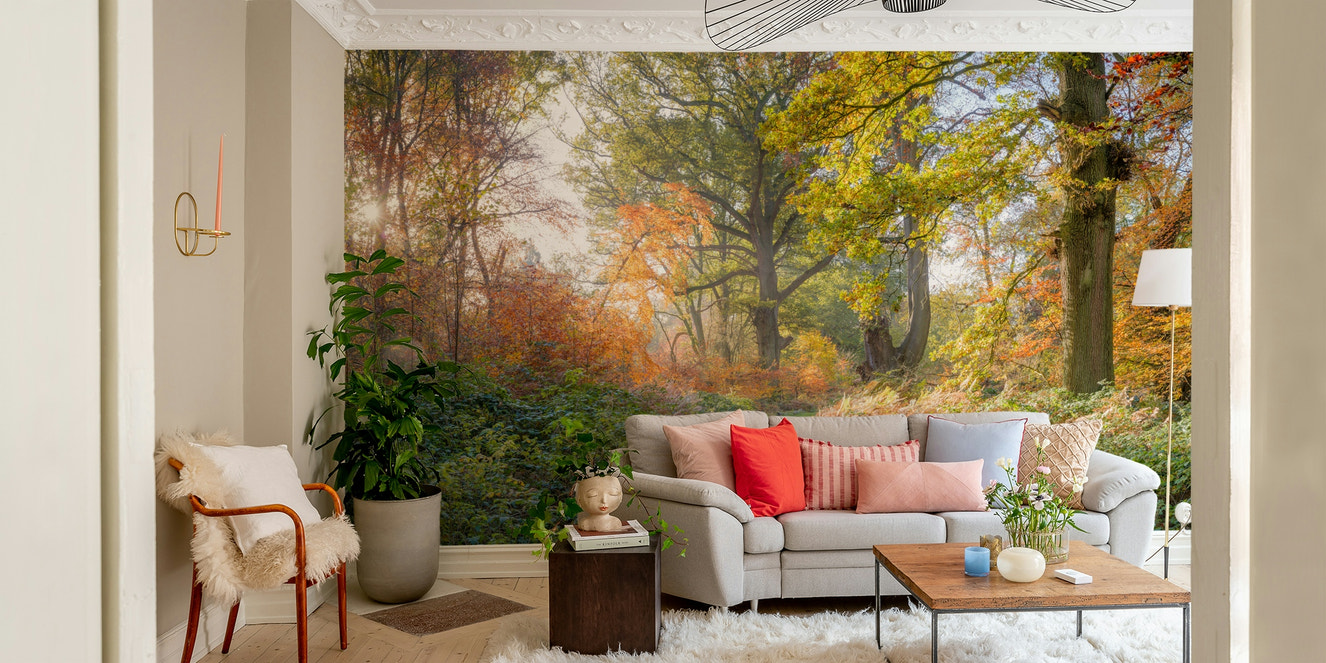 Picturesque pathway winding through a forest.

