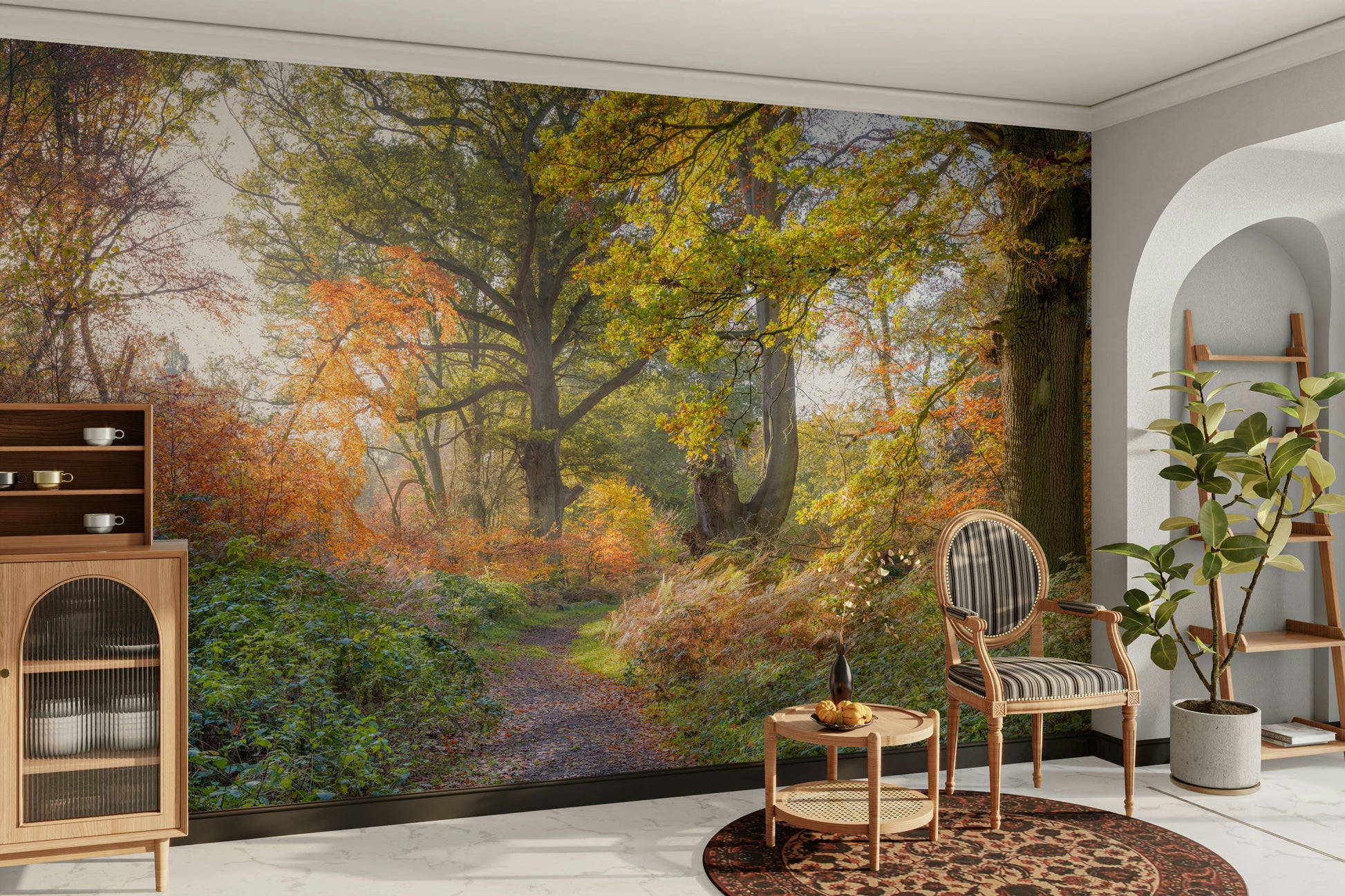 Warm, inviting sunlight filtering through trees.

