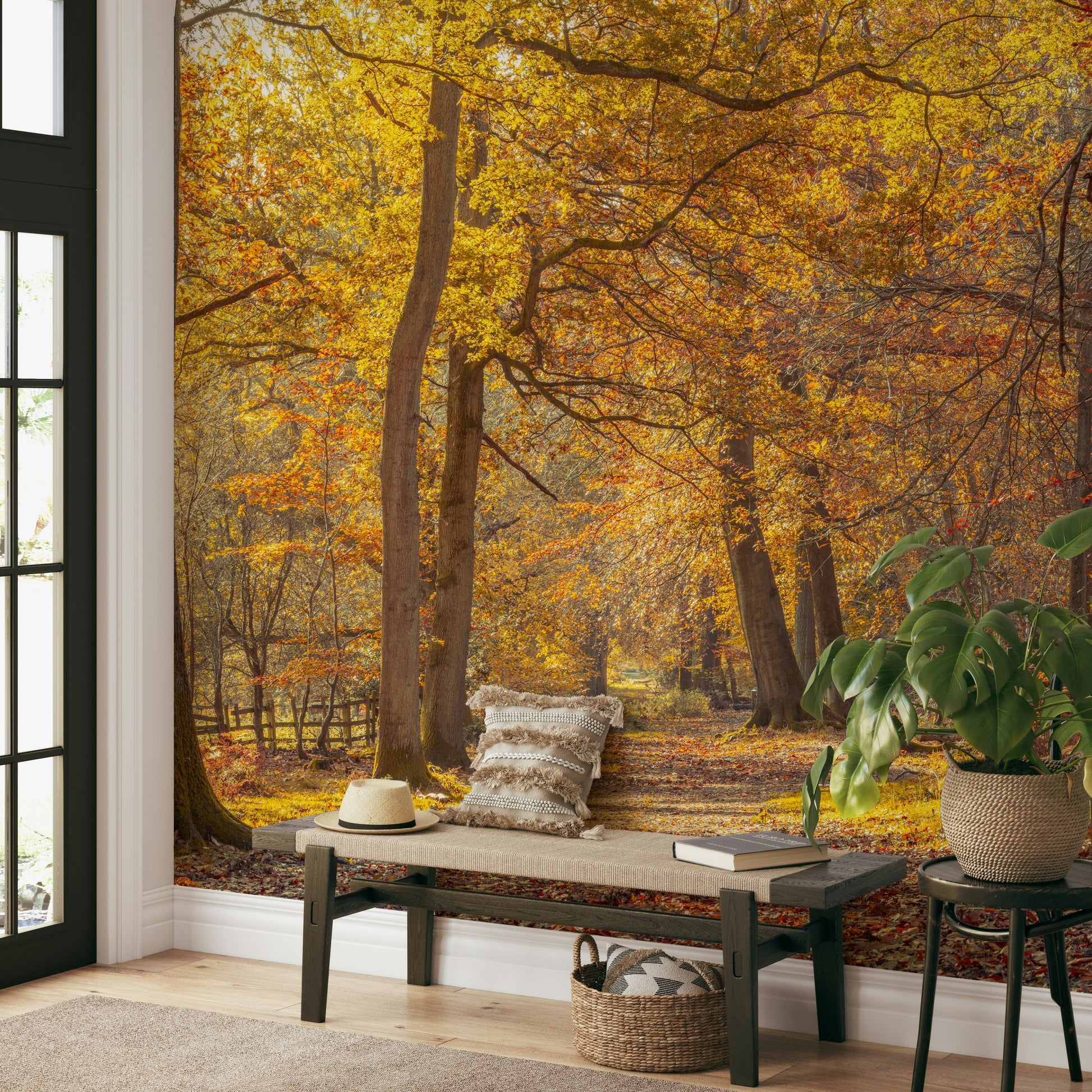 High-resolution image of an autumn forest.

