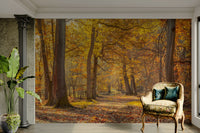 Luminous and inviting atmosphere.

