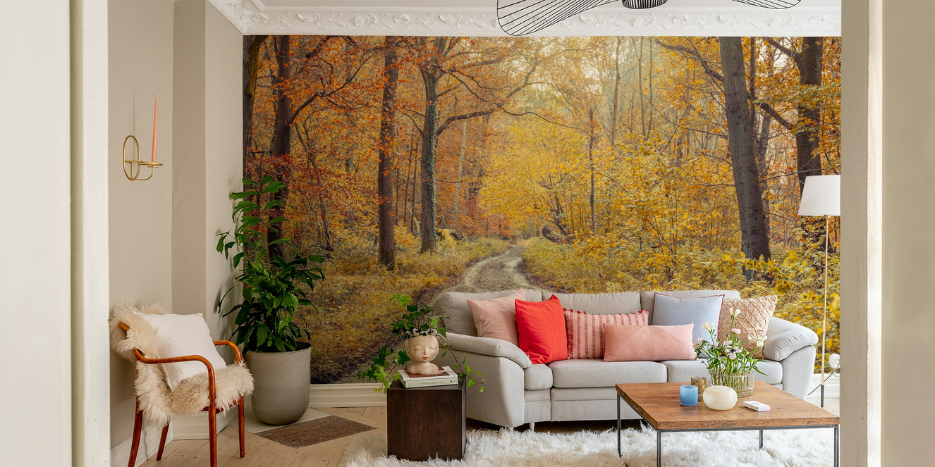 Serene unpaved path winding through forest.

