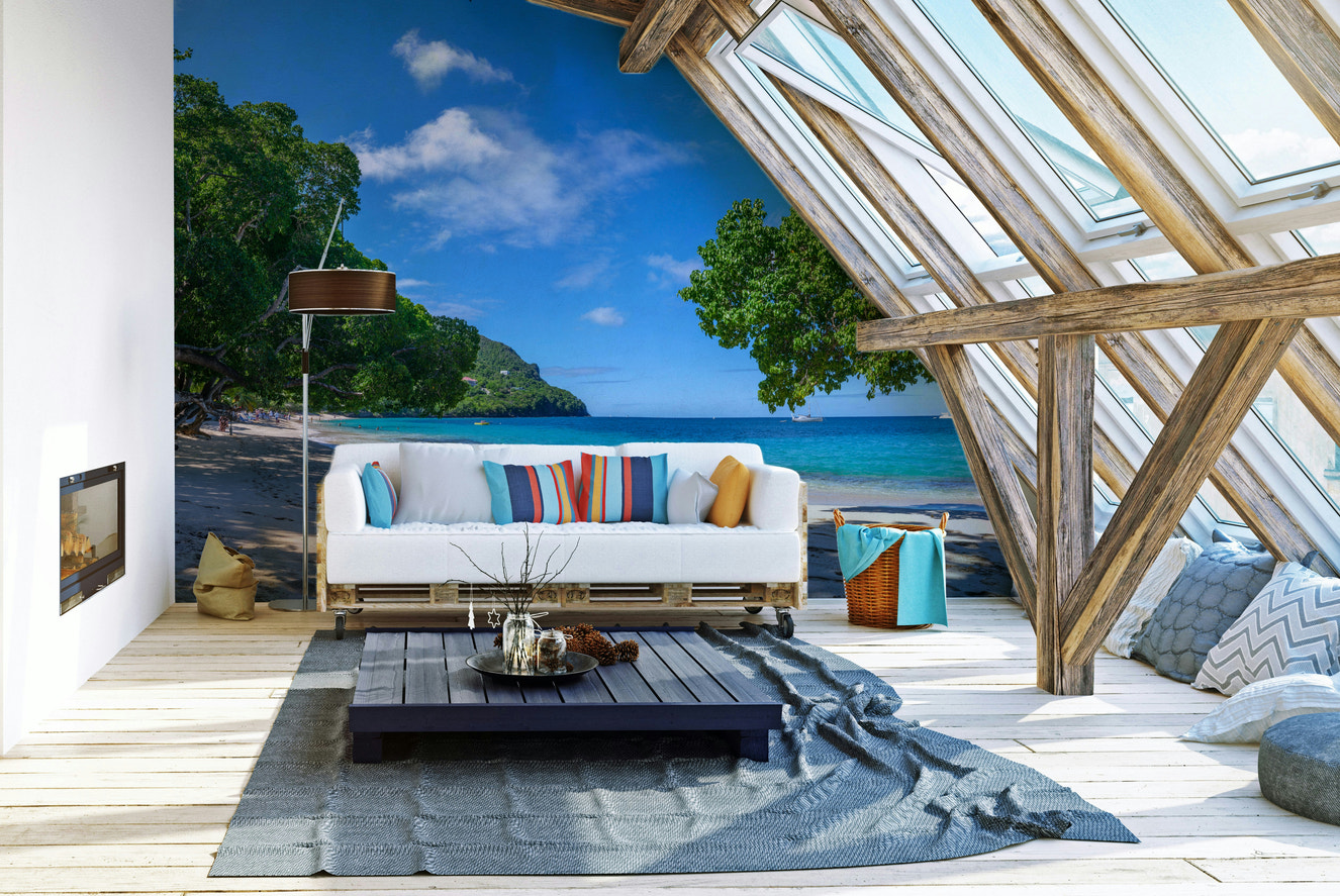 Sandy beach with green trees
