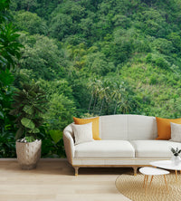 Lush green forest wallpaper
