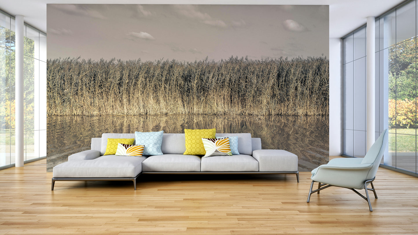 Calm nature wall art
