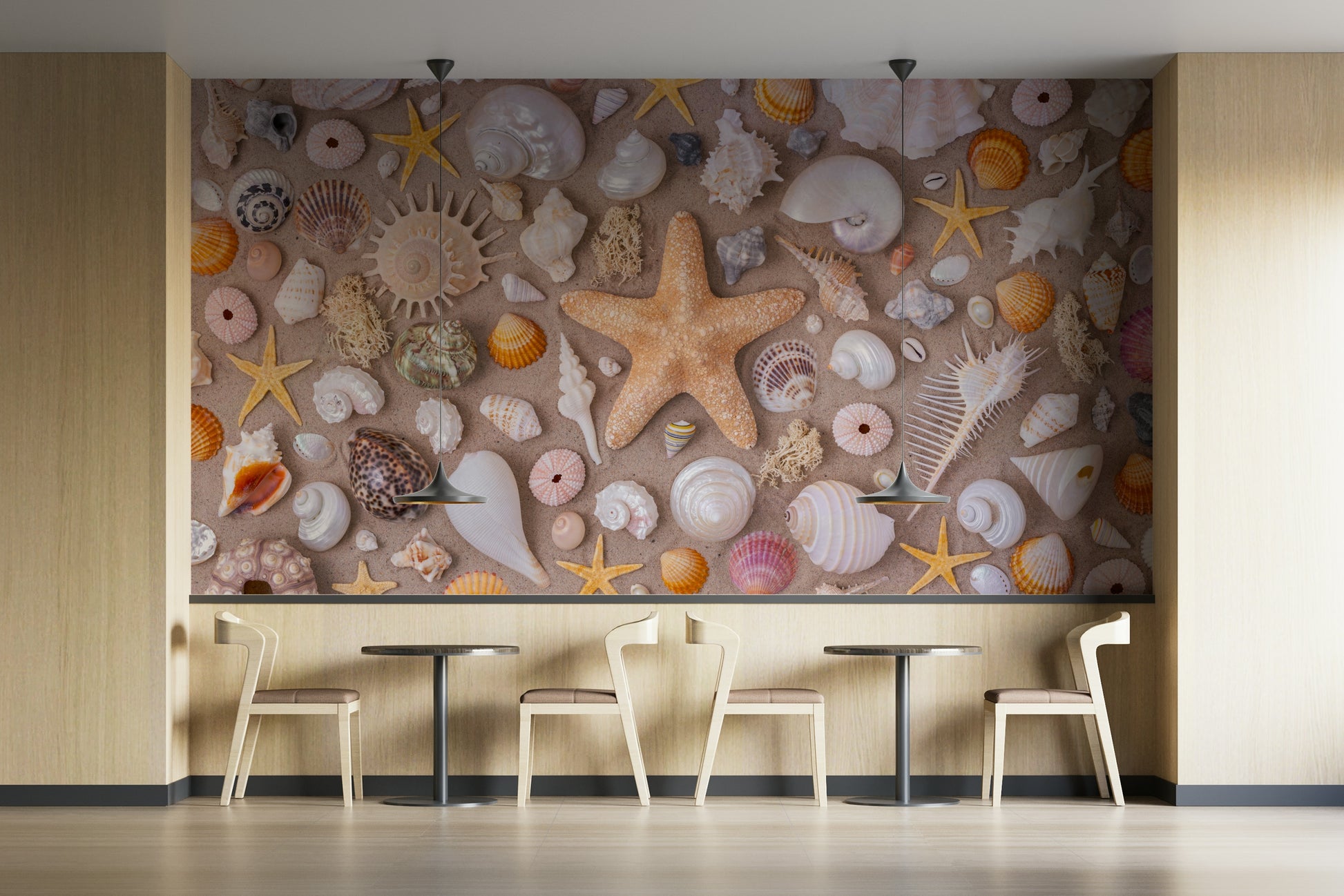 Natural seashell arrangement
