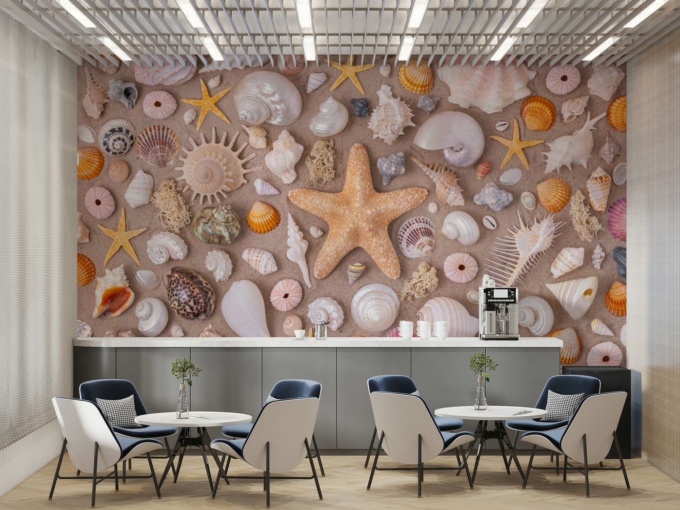 Picture of Seashell Collection Wall Mural
