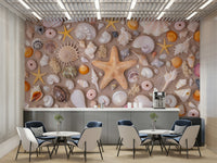 Picture of Seashell Collection Wall Mural
