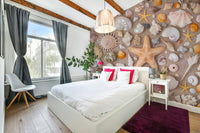 Various shell types wallpaper
