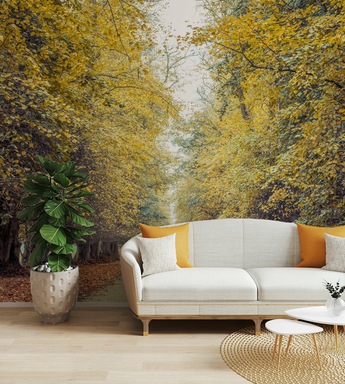 Country road in fall print
