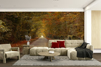 Tree lined path in fall wall art
