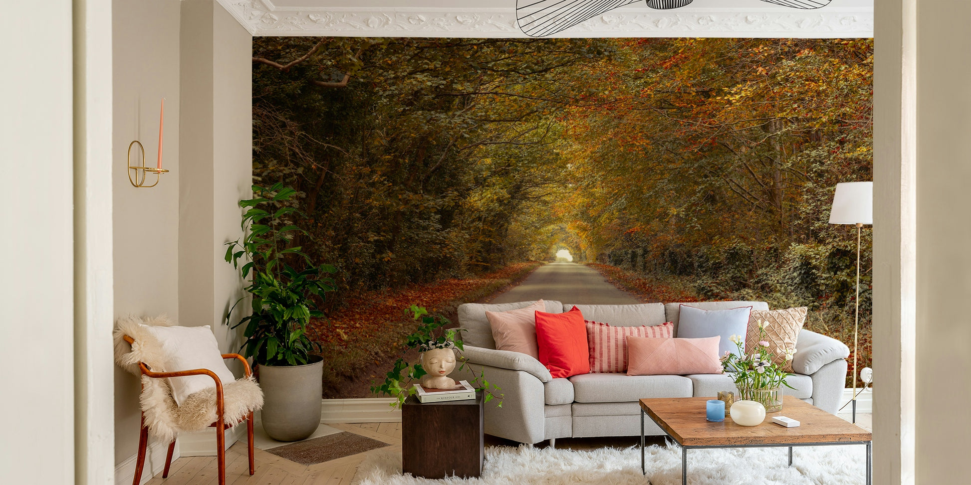 Peaceful forest drive wallcovering
