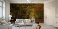 Scenic drive in autumn mural
