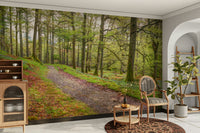 A wall mural featuring a path through a forest.

