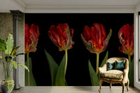 The tulips have ruffled, parrot-like petals.

