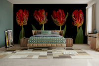 The colors are rich and vibrant against the dark background.

