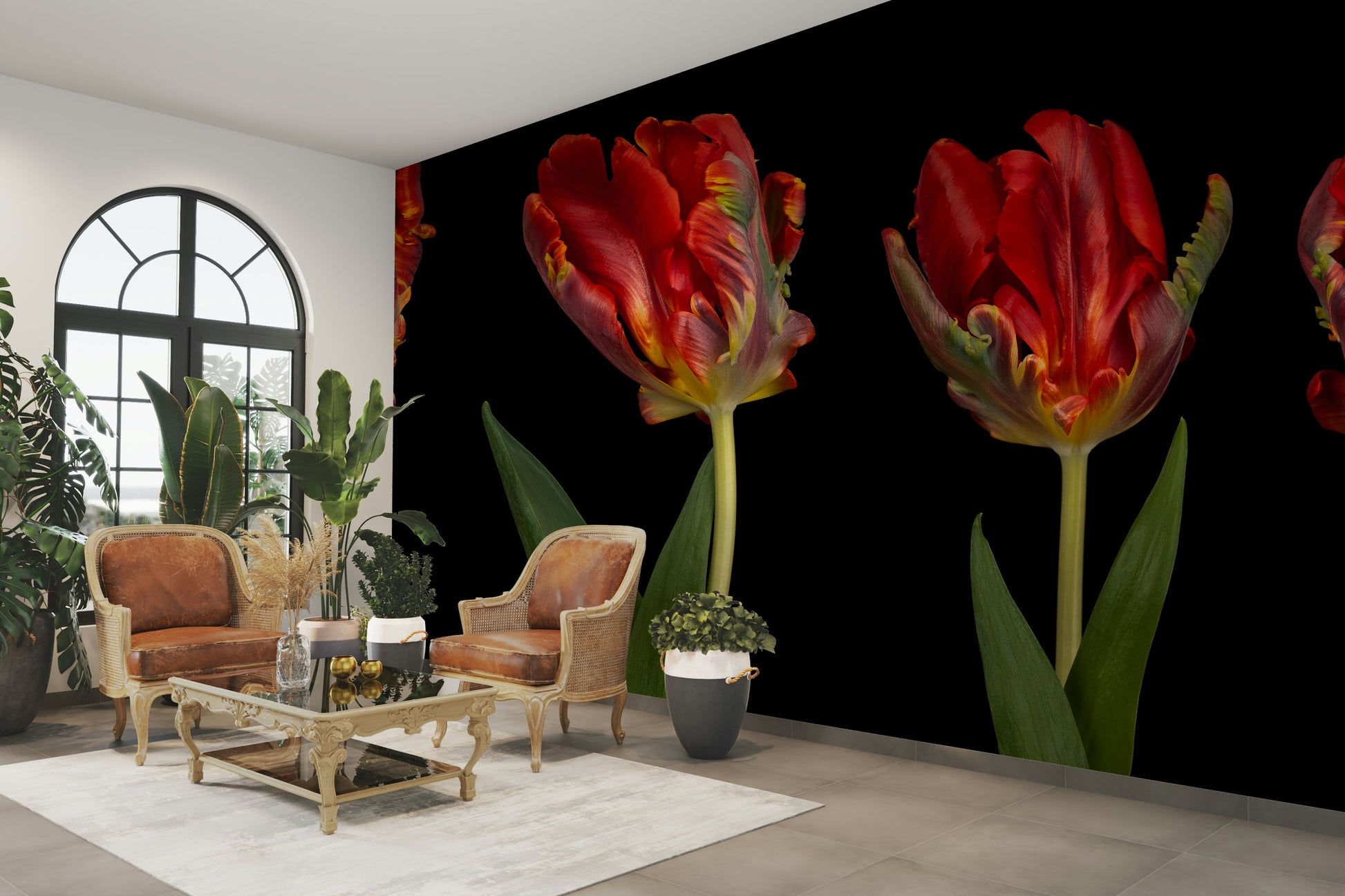 The background is a solid black color.

