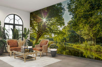 The focus is on the leaves and their patterns.

