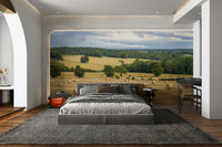 The feeling is one of quiet, natural beauty.

