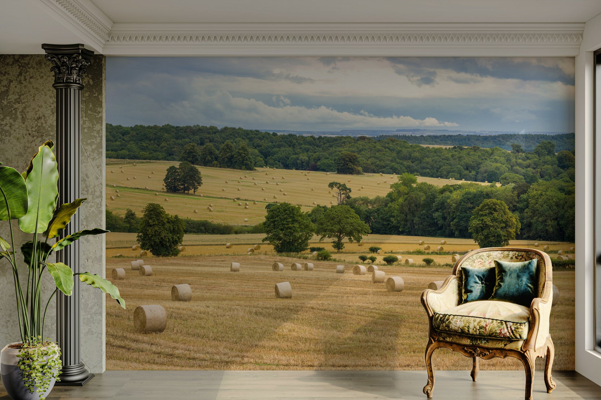 The composition is a wide, horizontal panorama.

