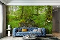 The stream is a central focus of the image.

