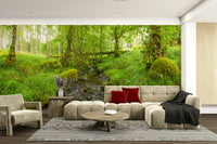 The light suggests a bright day in the woods.

