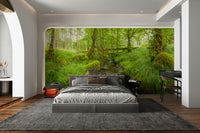 The ground is covered with moss and leaves.

