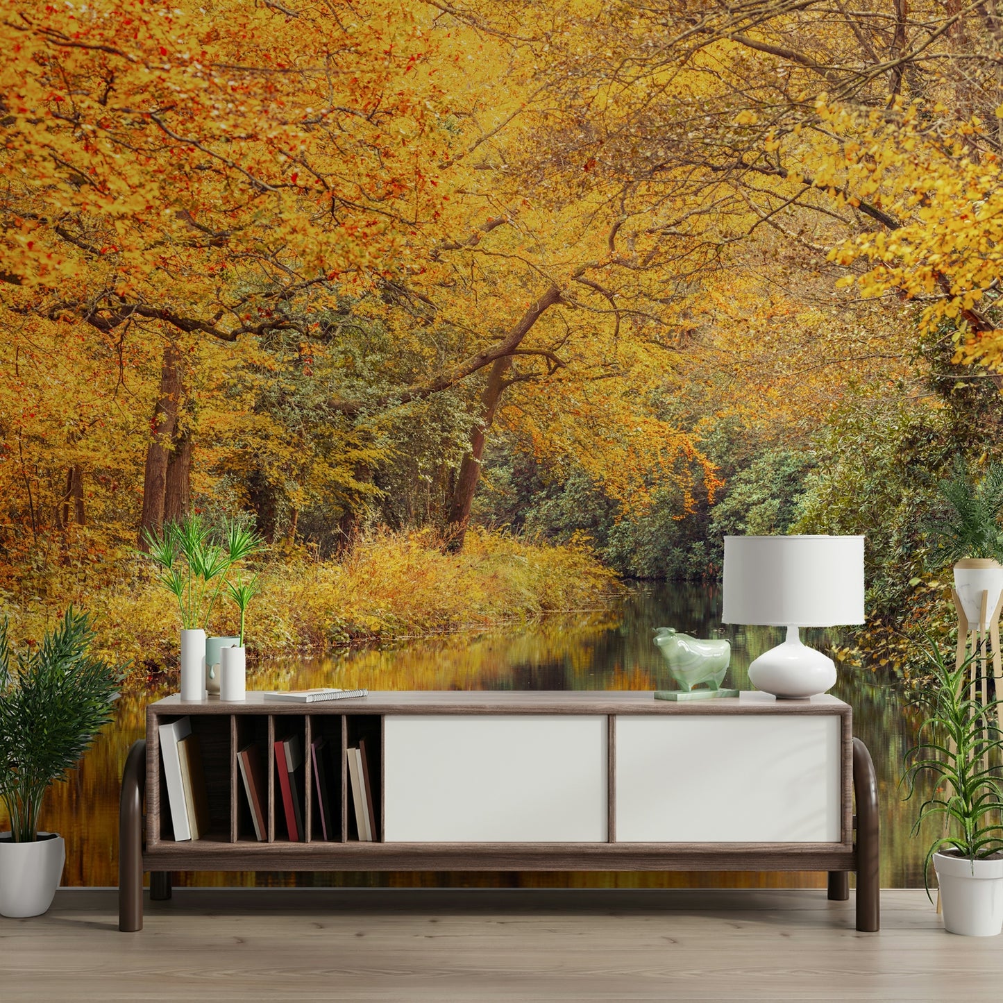 The image shows a small stream flowing through the woods.

