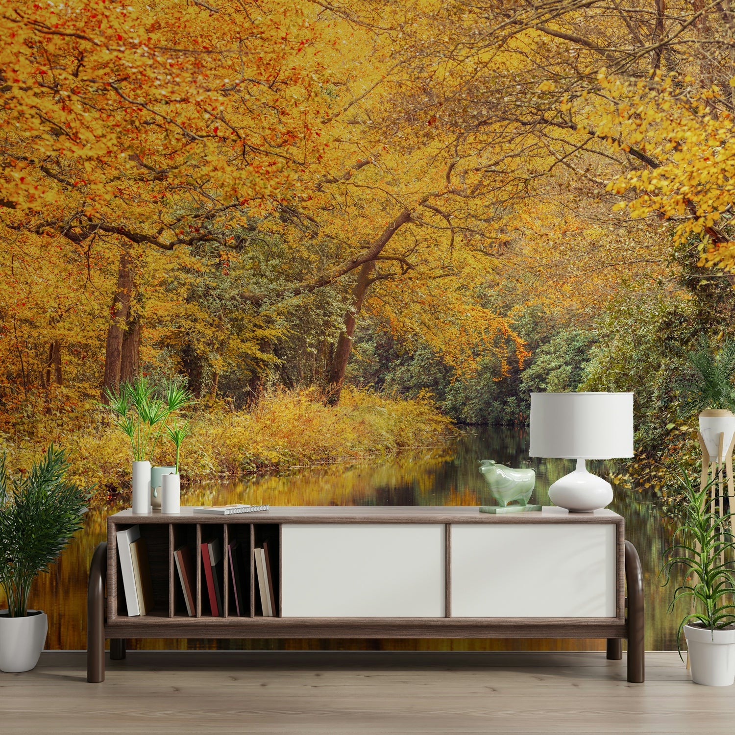 The image shows a small stream flowing through the woods.

