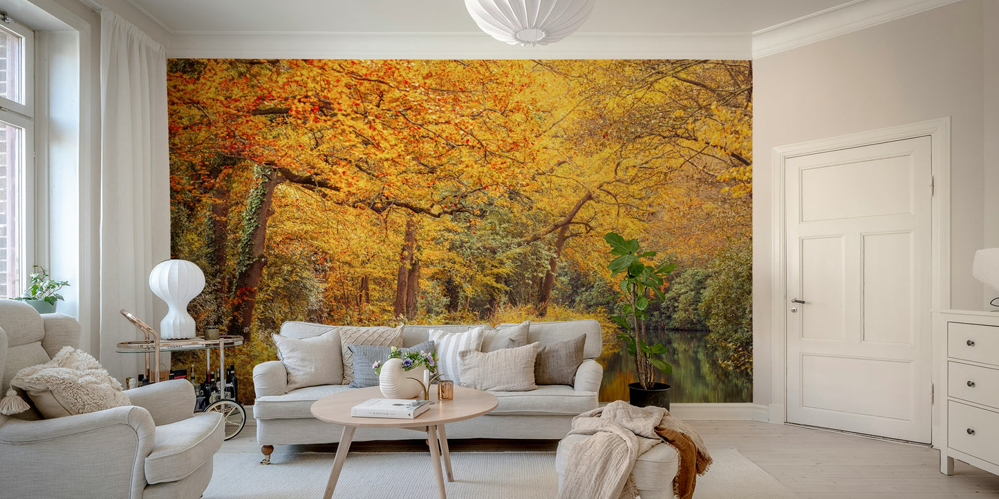 The stream is a central focus of the image.

