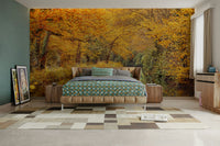 The light suggests a sunny autumn day.

