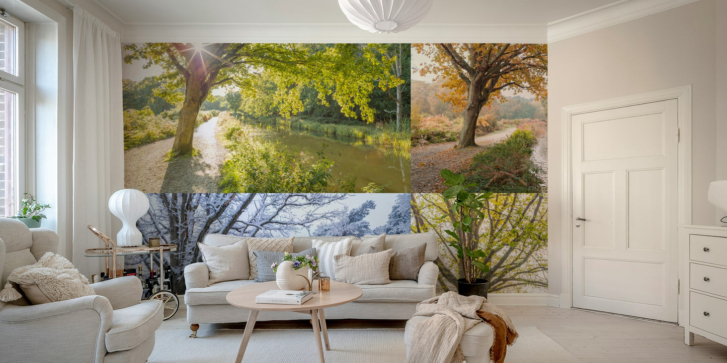 The image has a soft, painted look.

