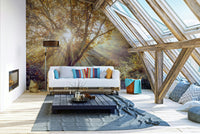 The image shows an artistic impression of a serene forest with a golden glow.

