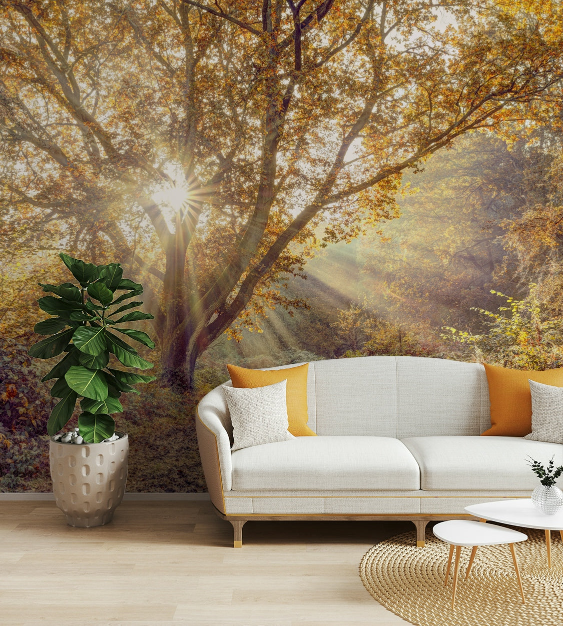 The trees and forest floor are a central focus of the image.

