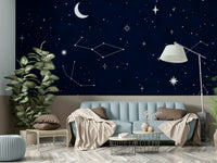 The stars and constellations are a central focus of the image.

