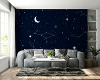 The image shows an artistic impression of a serene starry night scene.

