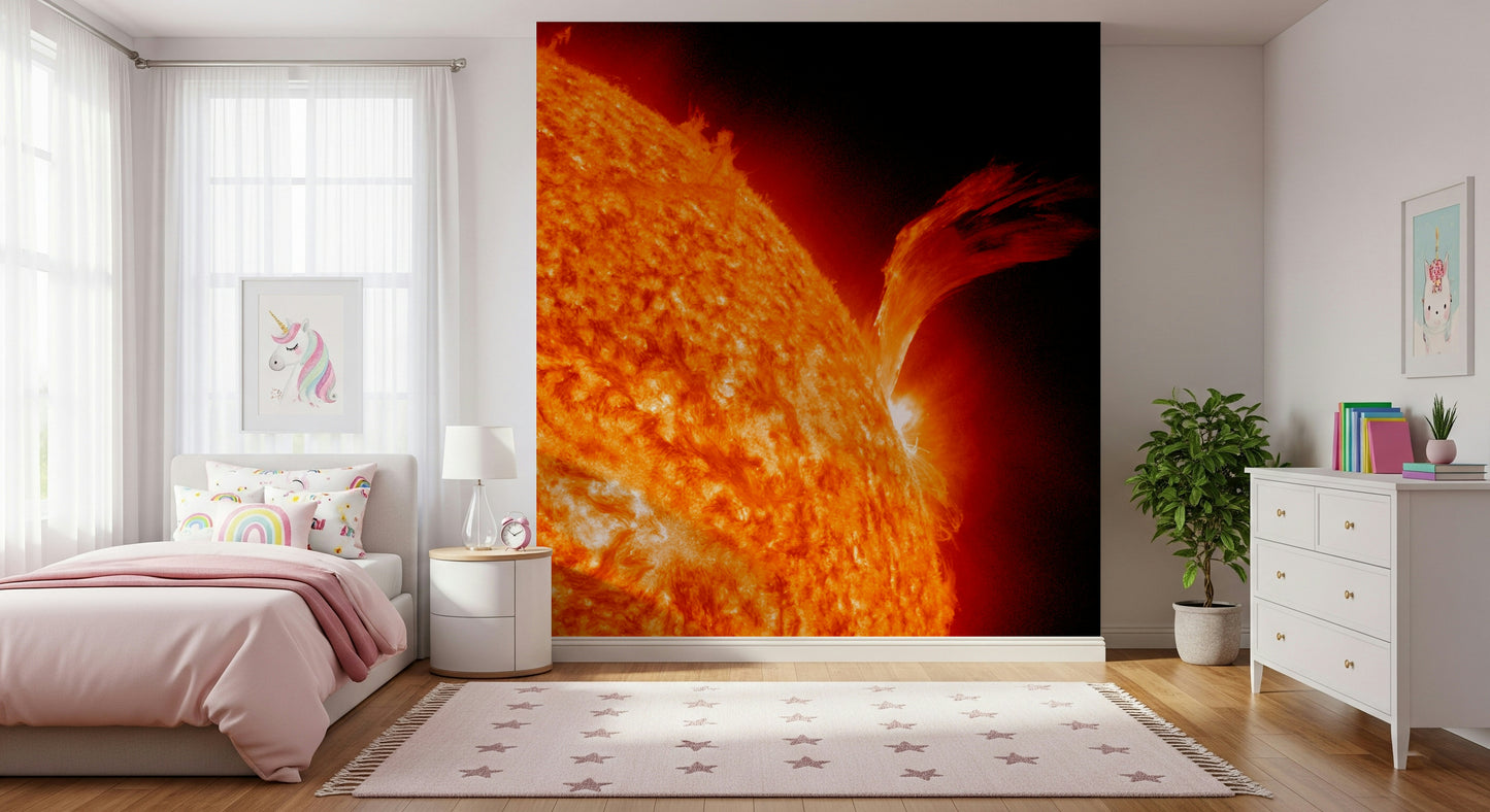 Sun's Fury Wall Mural