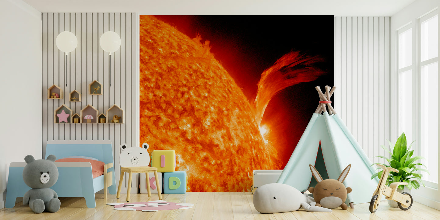 Sun's Fury Wall Mural