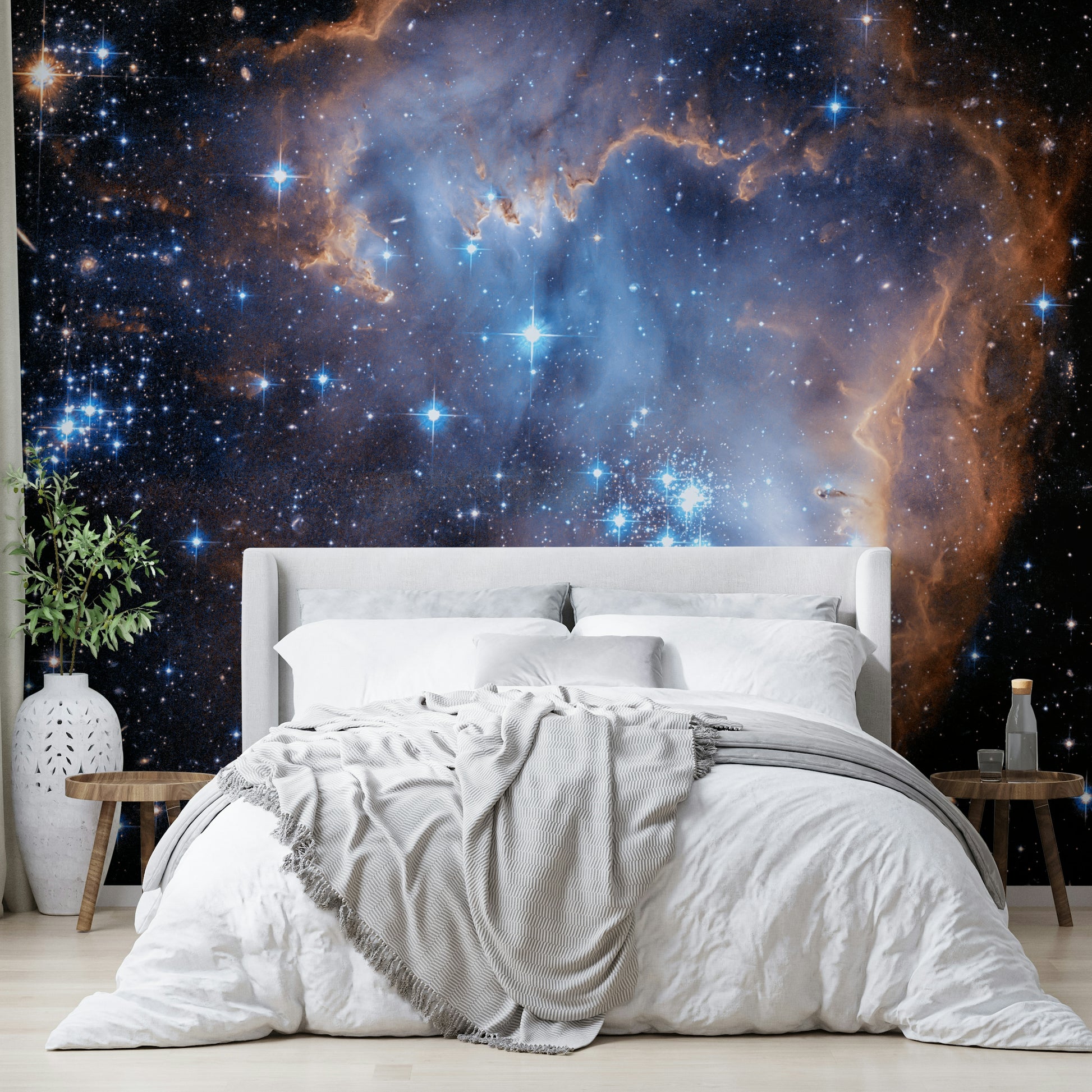 The light from the stars makes the gas clouds glow.

