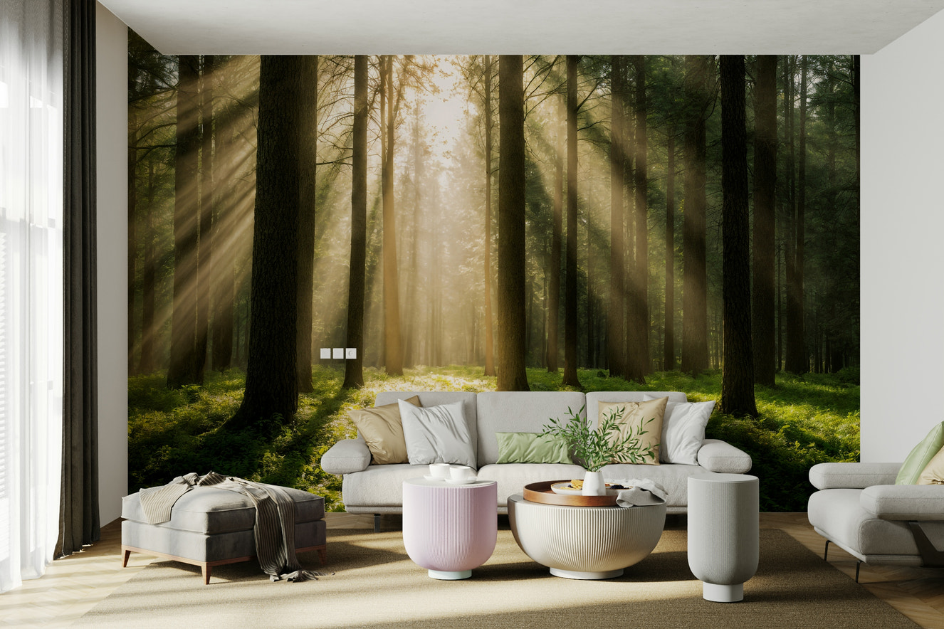 A wide shot of a wall mural showing a serene, sunlit forest.
