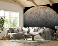 The colors are a mix of pale whites, deep grays, and the prominent reddish-brown veins.
