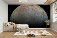 It's a great choice for a peaceful, natural design.







