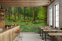 The image has a calm, tranquil mood.

