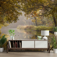 The image has a calm, tranquil mood.

