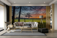 The sky is a mix of soft colors, like yellow, orange, and pink.

