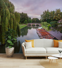 The image has a calm, tranquil mood.

