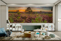 The heather is in shades of pink, purple, and green.

