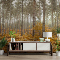 The image feels peaceful and restful, like a daydream.

