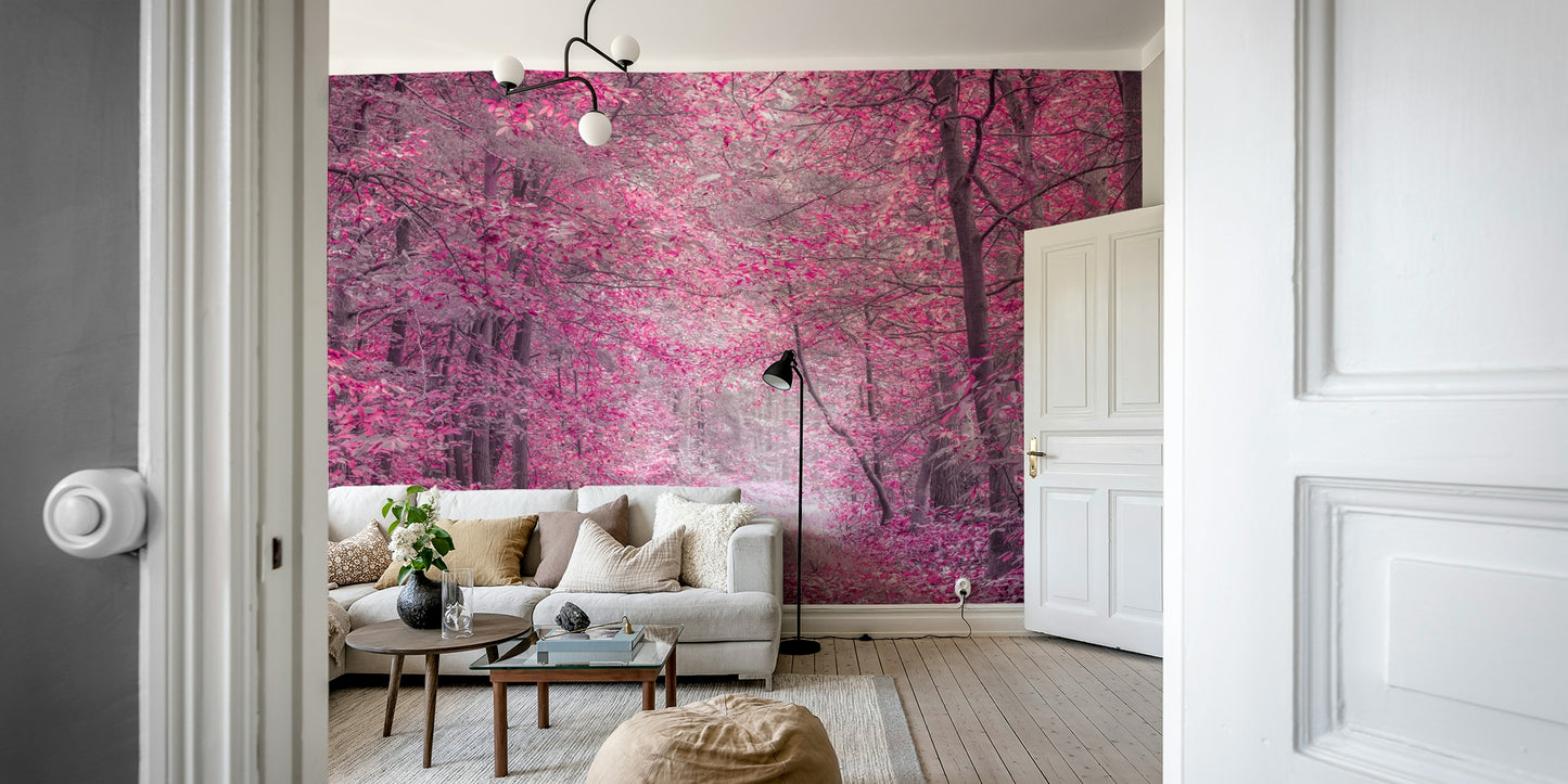 The composition is centered on the pathway.

